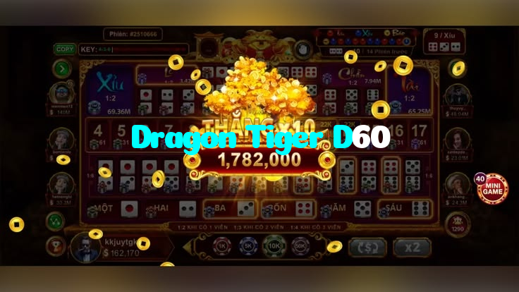 available types of Dragon Tiger D60 bet including pre-match live express and system bets